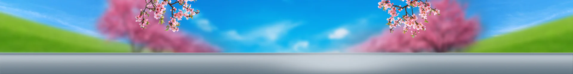 Elevate Your Home Experience